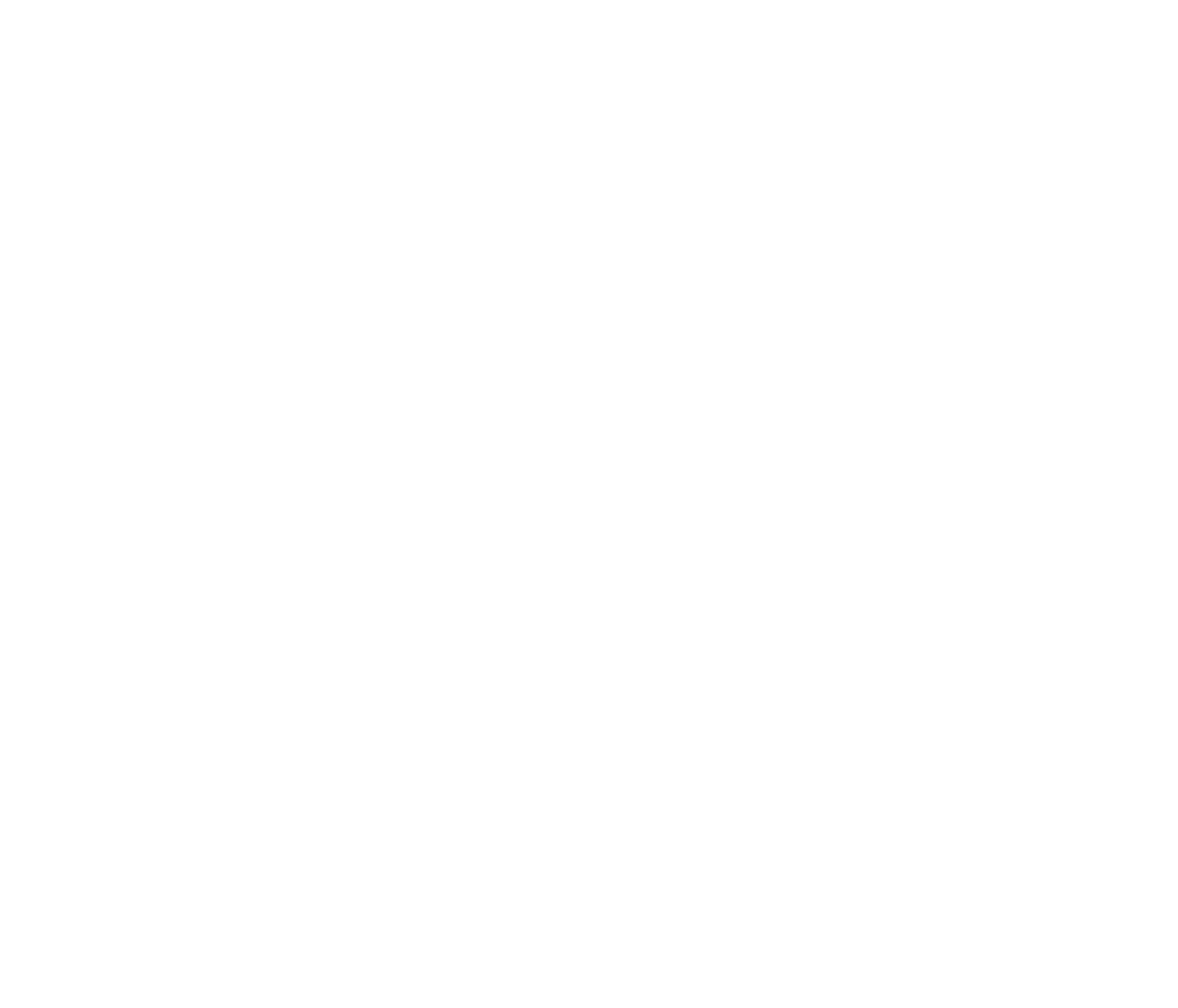 flexile-white-logo